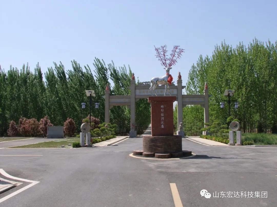 山东星空体育·(StarSky Sports)官方网站集团举办党史学习教育活动